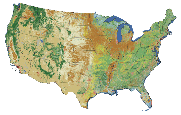 Map of the different landcover types of the continental United States each represented by different colors.