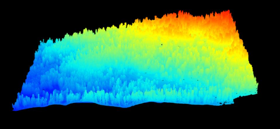 1 km-squared point cloud from Lower Teakettle showing mountainous terrain covered in a patchy conifer forest, with tall, skinny conifers clearly visible emerging from the discontinuous canopy.