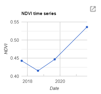 NDVI time series