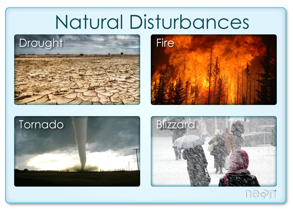 Quantifying The Drivers And Impacts Of Natural Disturbance Events The 