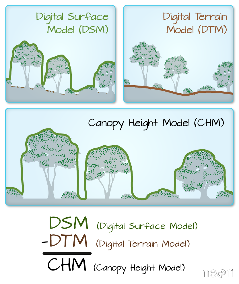 Image of the three most common LiDAR-derived products: Digital Surface Models (DSM), Digital Terain Models (DTM), and Canopy Height Models (CHM). The Digital Terrain Model allows scientist to study changes in terrair (topography) over time.