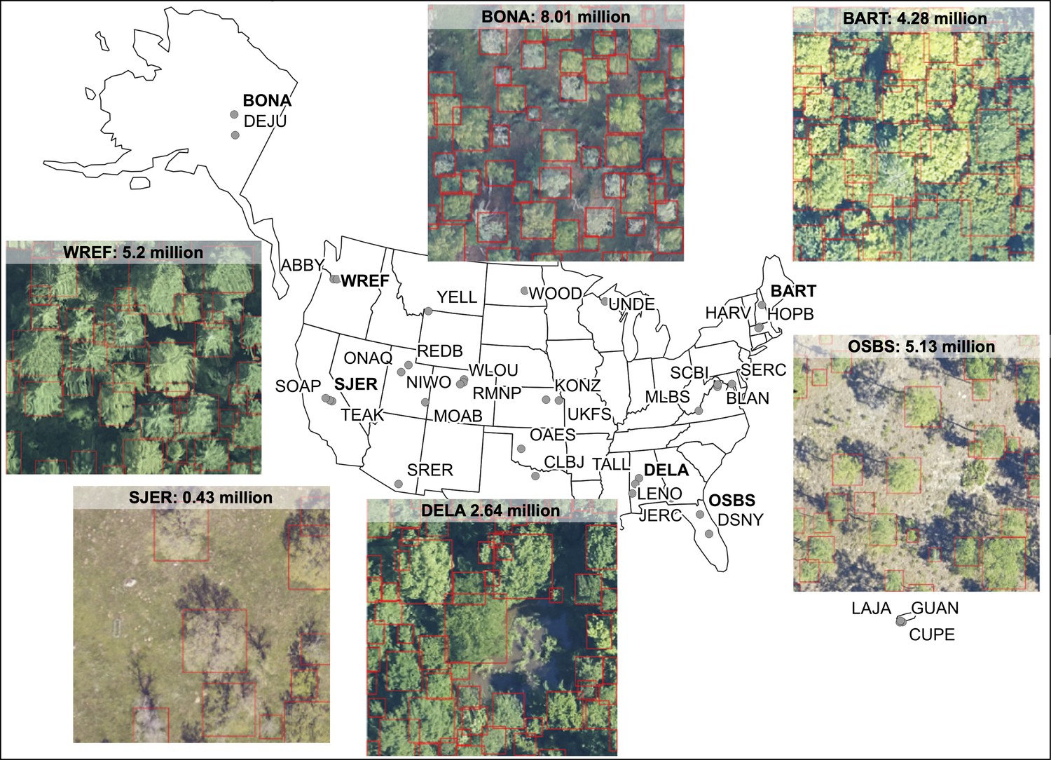 Locations of 37 NEON sites included in the NEON crowns data set and examples of tree predictions shown with RGB imagery for six sites. (Weinstein et al 2021)