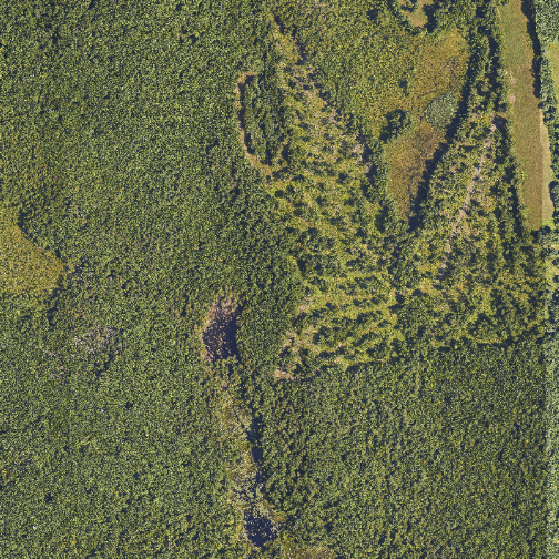 Red, green, and blue composite (true color) image of NEON's Harvard Forest (HARV) site