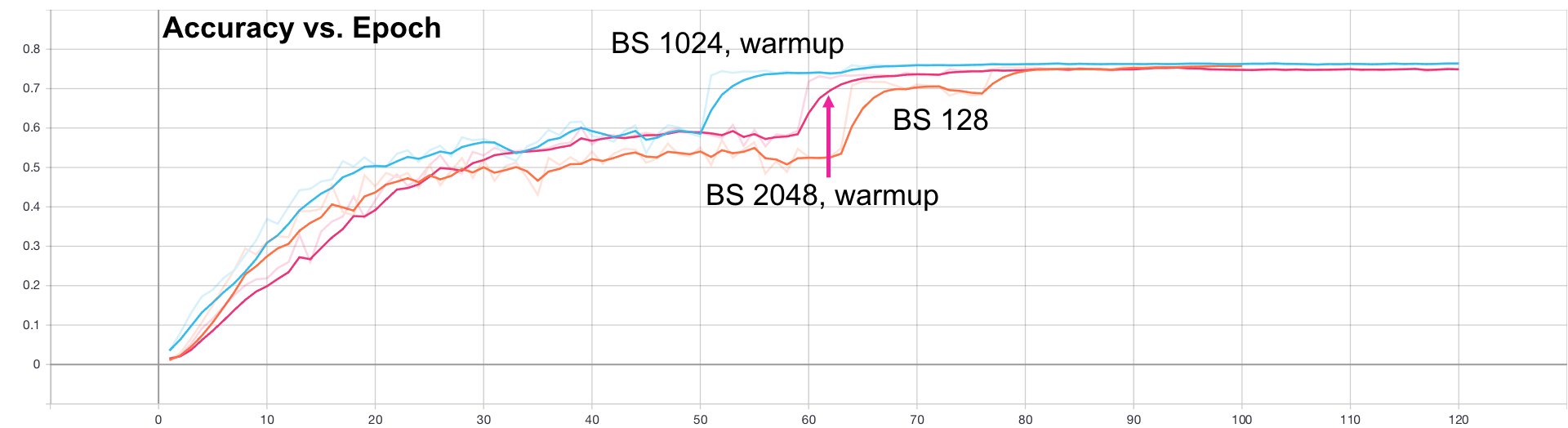 Accuracy for bs128, bs1024 warmup, bs2048 warmup