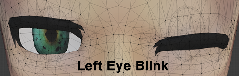 Left Eye Blink