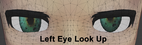 Left Eye Look Up