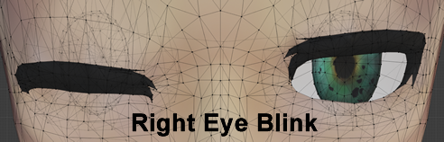 Right Eye Blink