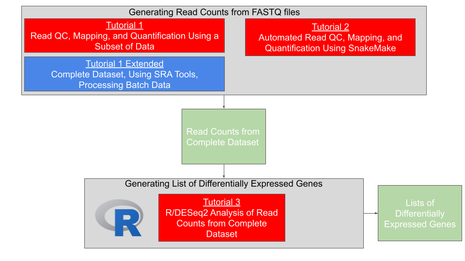 RNA-Seq workflow