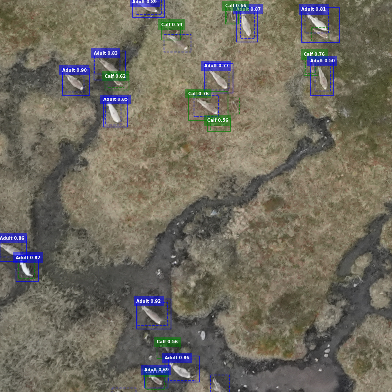 Model prediction for a satellite picture