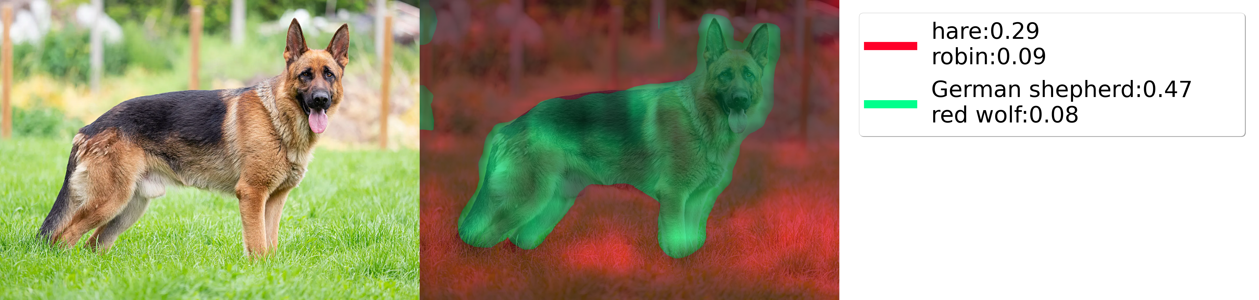 Picture of a German shepherd explained using Deep Feature Factorization (DFF).