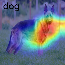 Picture of a German shepherd classified by an AI model (labelled as dog) and explained using Grad-CAM technique. The HiResCAM technique consists of highlighting the pixels in the image that are important for the model to make its classification decision.