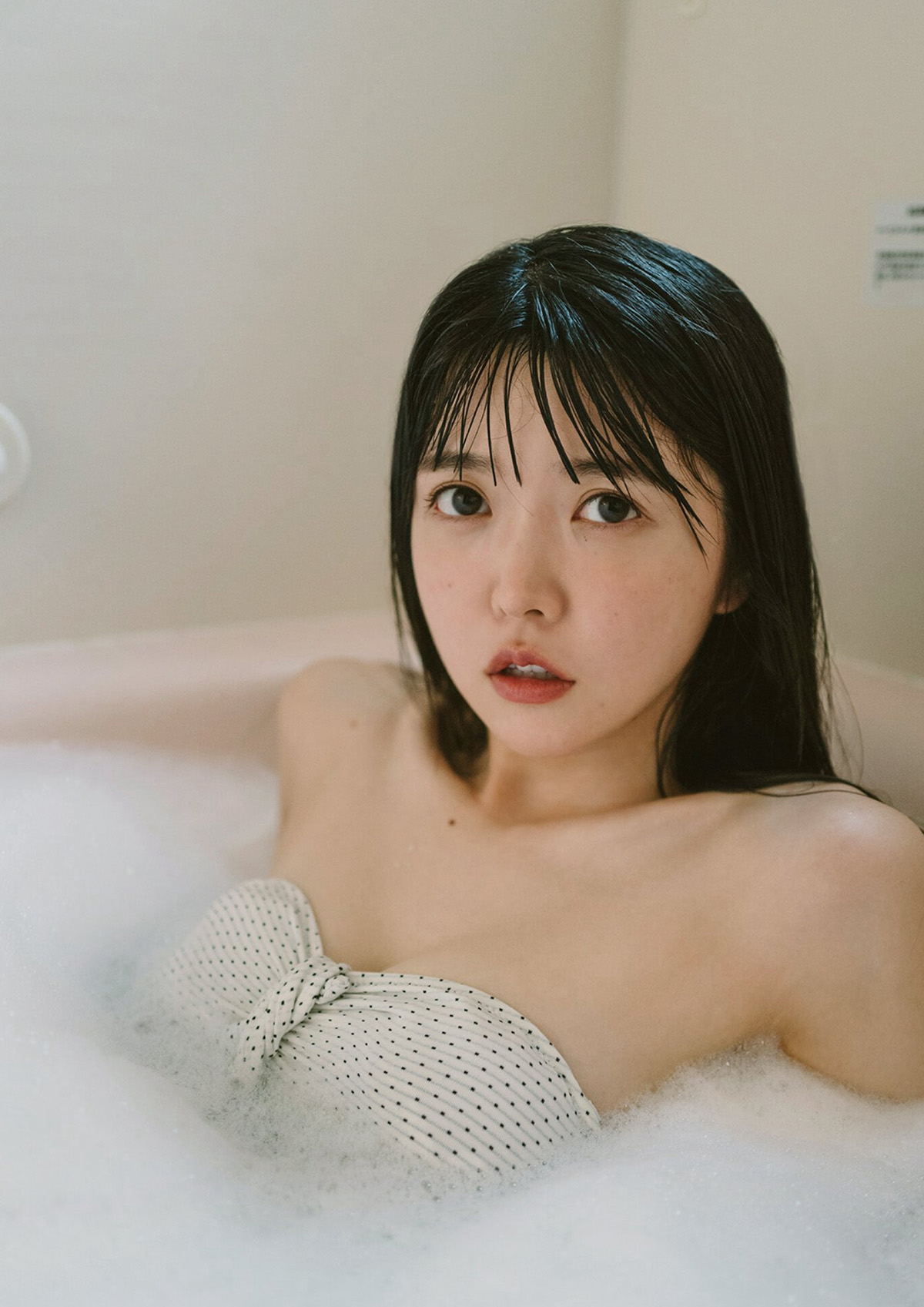 蜘蛛池在泛解析中的实战价值