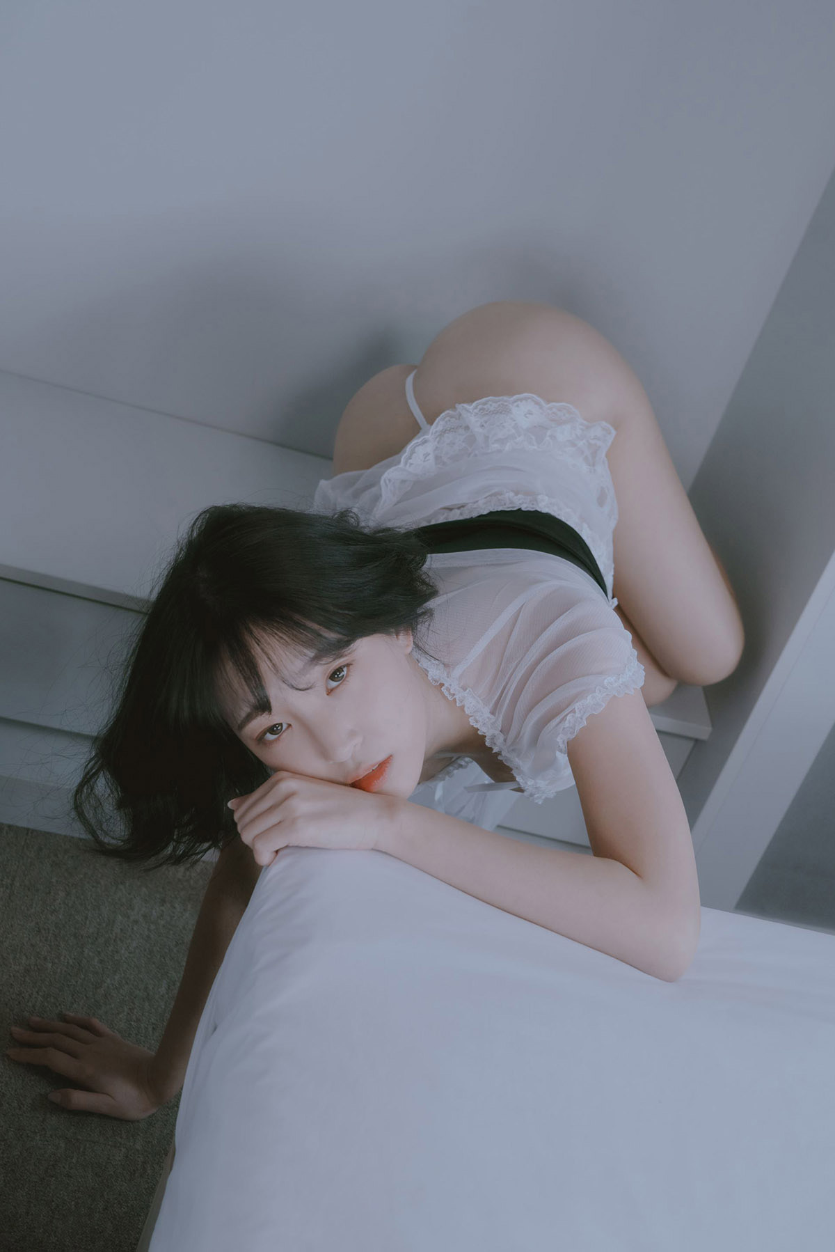 网站降权后，蜘蛛池还能用吗？