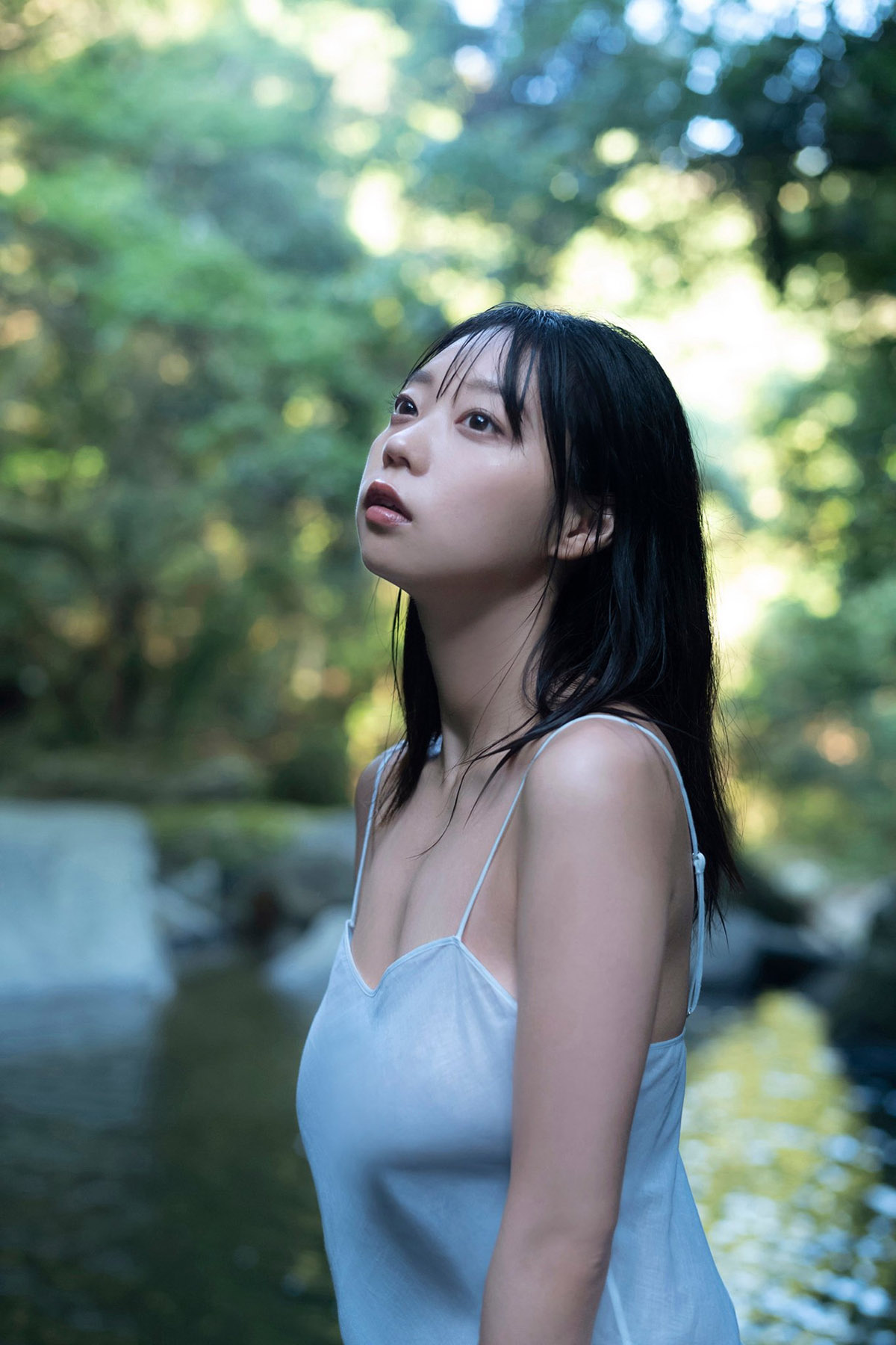 快速构建蜘蛛池的五个步骤