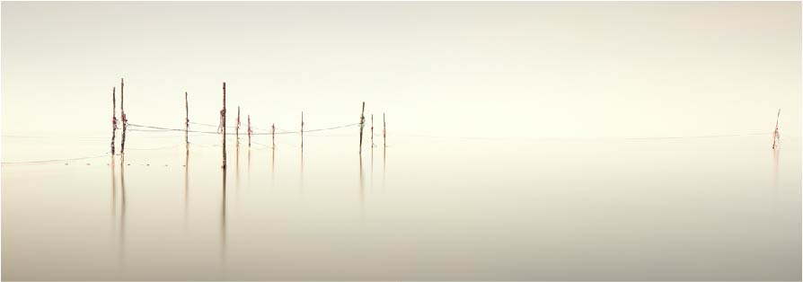 利用蜘蛛池进行微站点批量上线方案