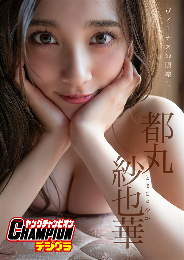 蜘蛛池在小程序内容优化中的使用方式