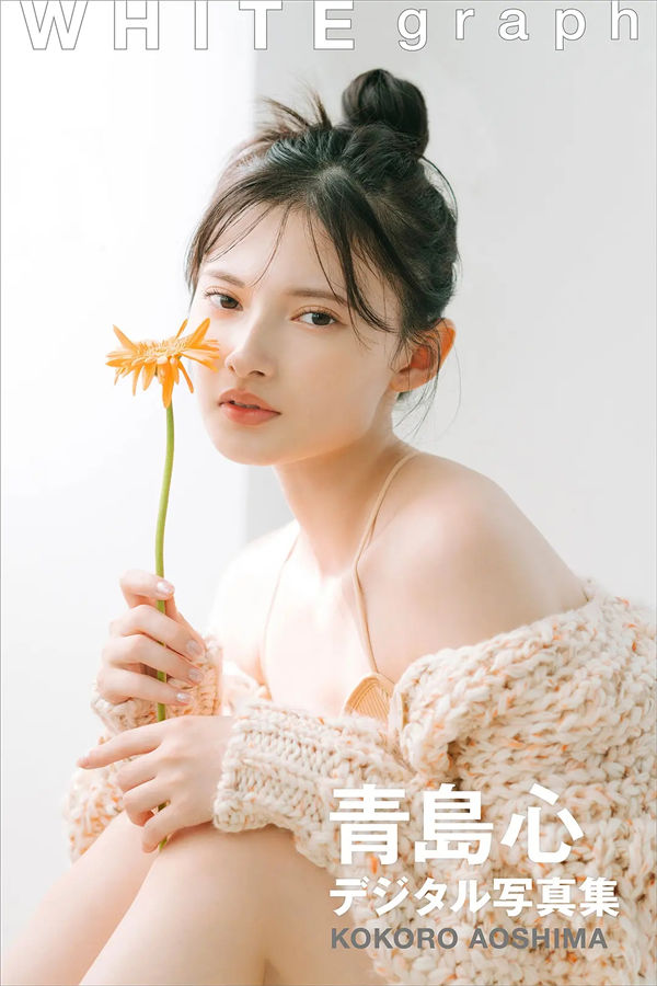 蜘蛛池与网站架构优化的配合