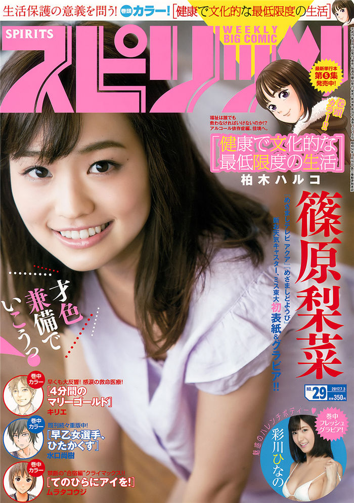 蜘蛛池的分布式架构实现方案