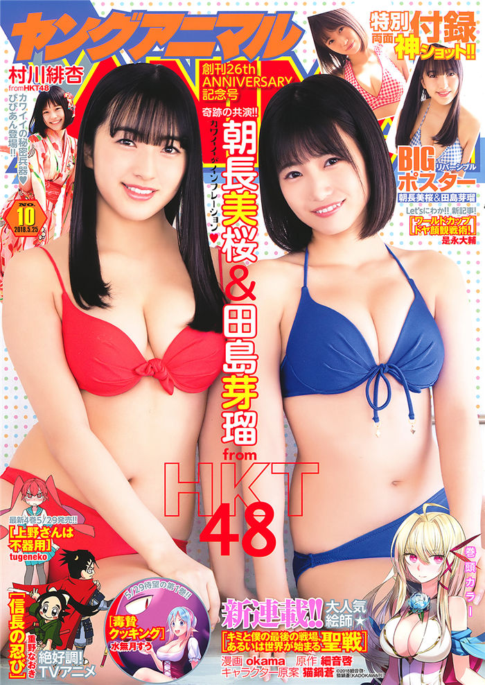 蜘蛛池在自动化站群系统中的角色