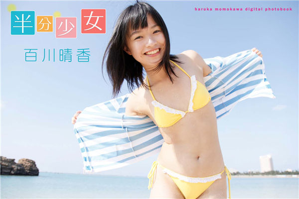 蜘蛛池在自动化站群系统中的角色