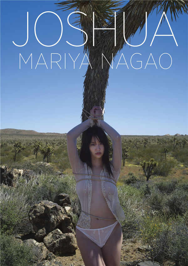 蜘蛛池对SEO黑帽技术的风险分析