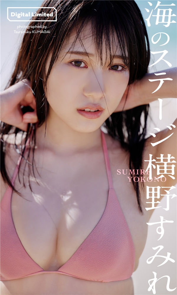 蜘蛛池在自动化站群系统中的角色