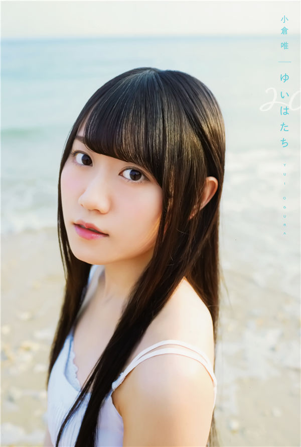 蜘蛛池能否提升收录质量？