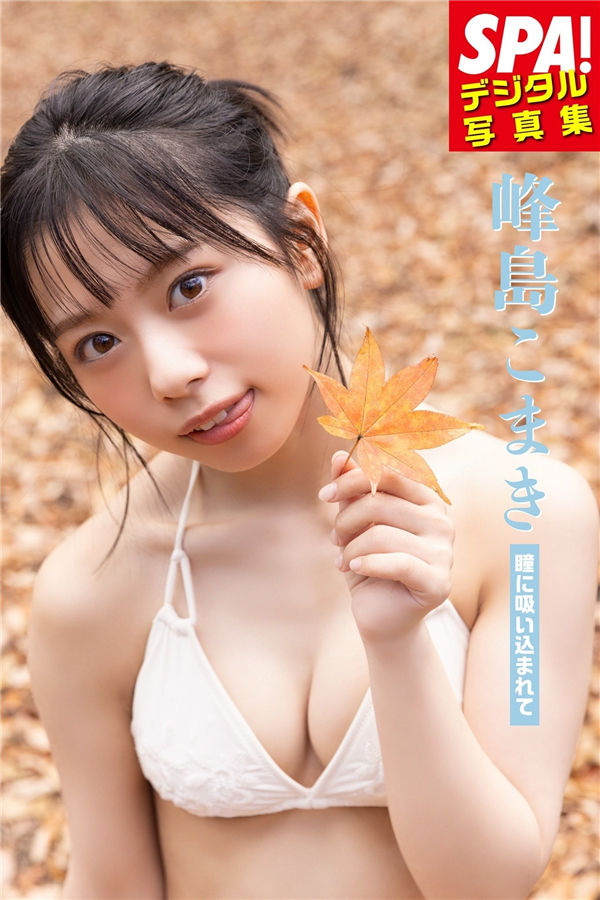 蜘蛛池在小程序内容优化中的使用方式