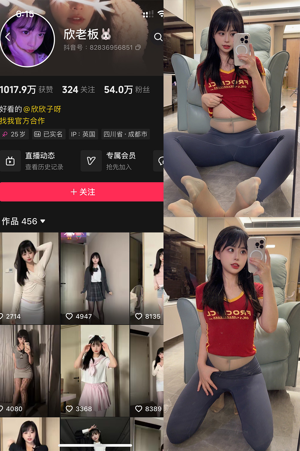 蜘蛛池中的IP地址轮换策略