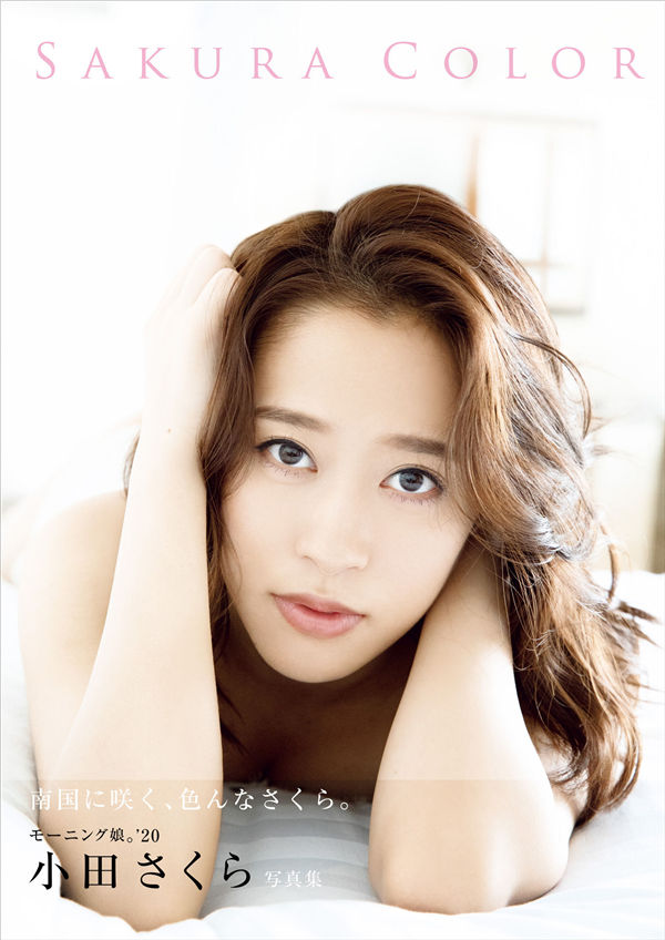 青青草手机在线观看视频