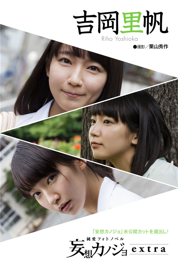 蜘蛛池对SEO黑帽技术的风险分析