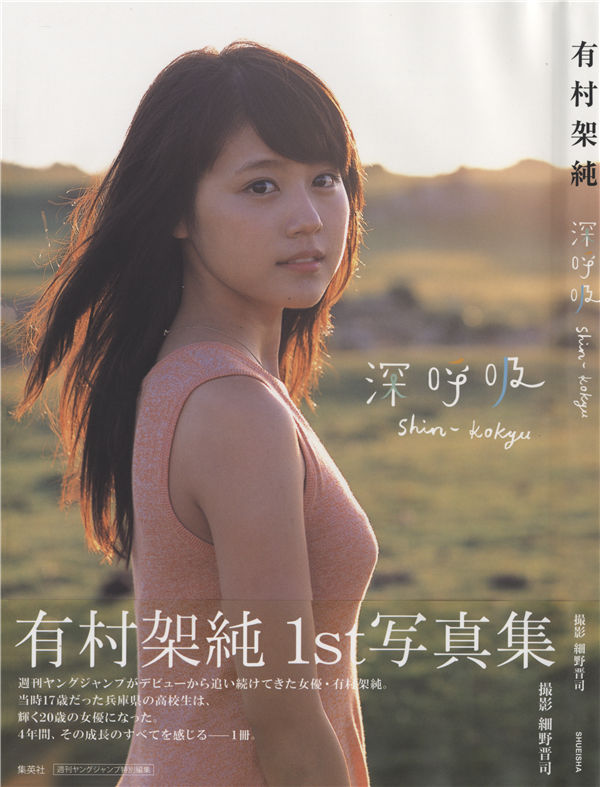 蜘蛛池访问日志的分析方法