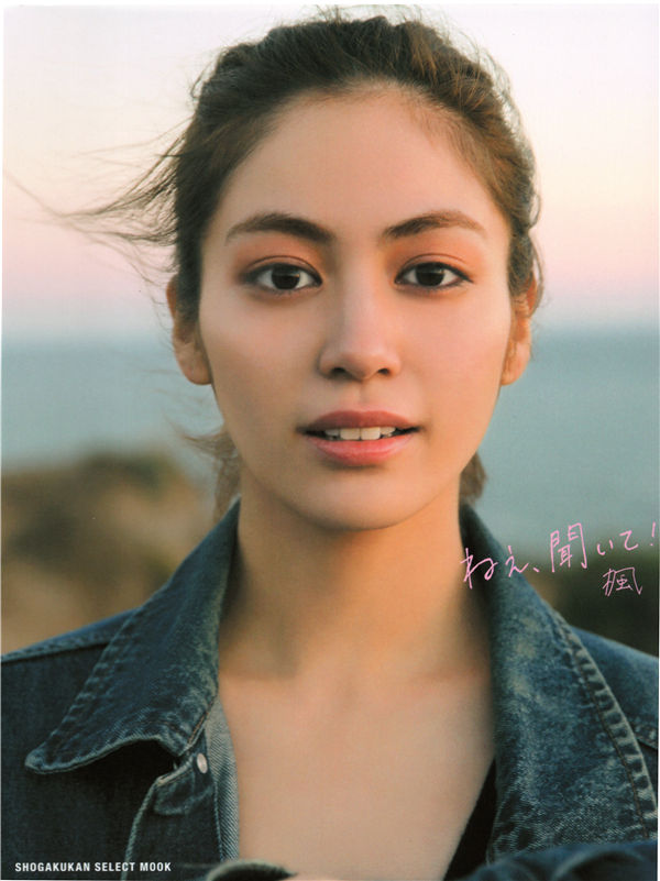 蜘蛛池在自动化站群系统中的角色