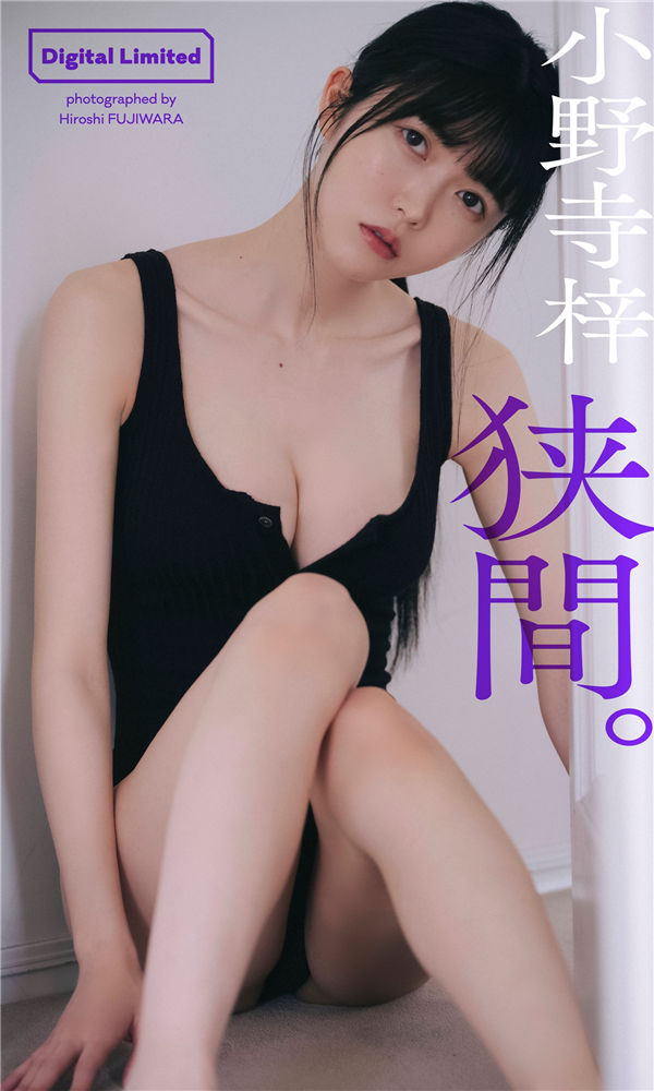 蜘蛛池与伪原创技术的协同应用