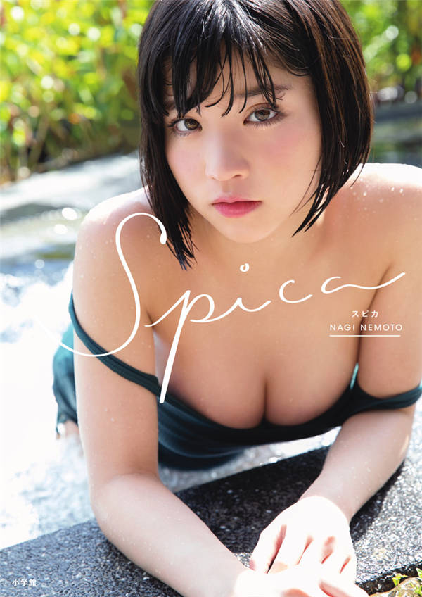 如何用蜘蛛池推送页面结构变更？