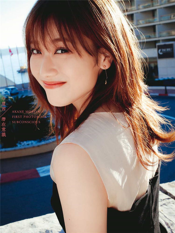 蜘蛛池中的IP地址轮换策略