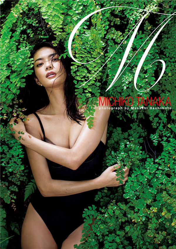 蜘蛛池访问日志的深度分析