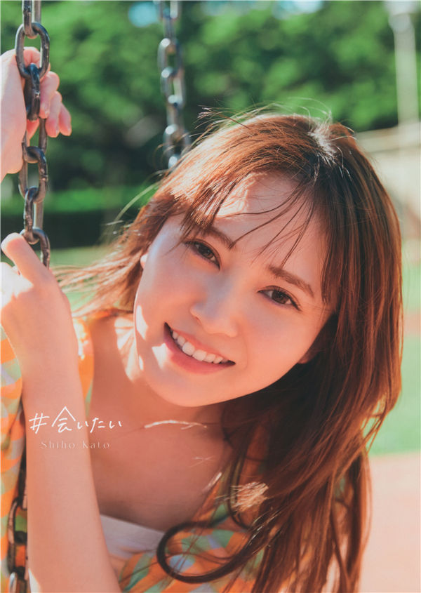 蜘蛛池在自动化站群系统中的角色