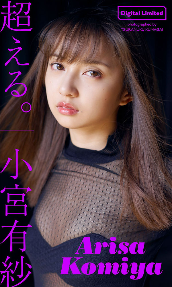 蜘蛛池在泛解析中的实战价值