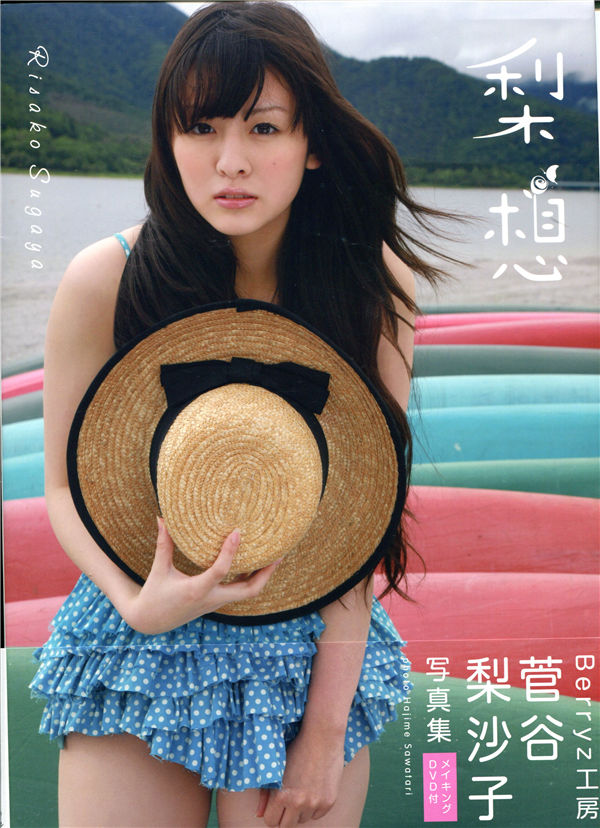 蜘蛛池在泛解析中的实战价值