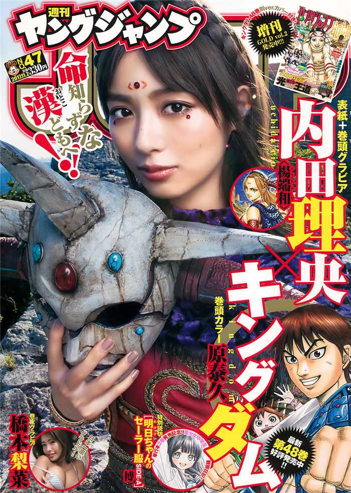 蜘蛛池对SEO黑帽技术的风险分析