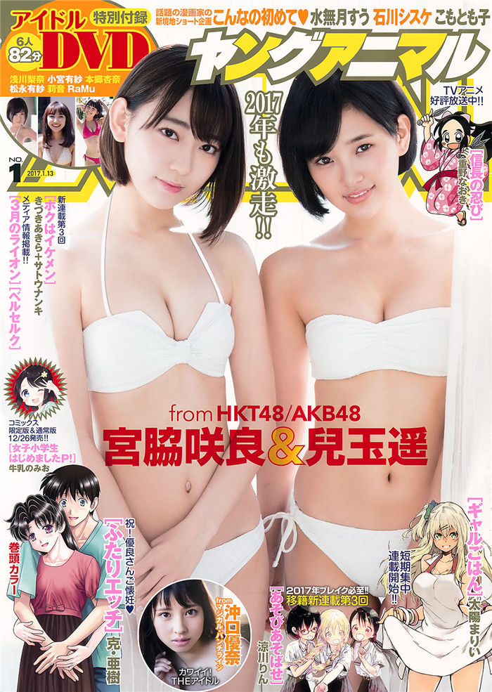 蜘蛛池能否提升收录质量？