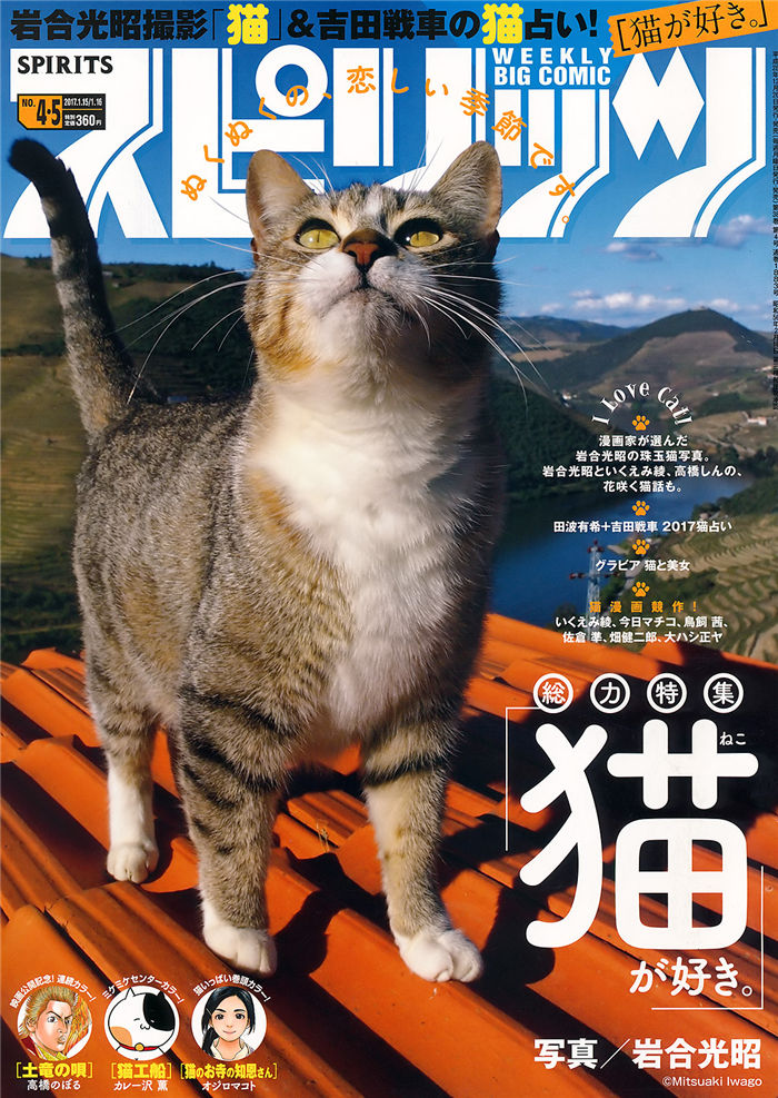 蜘蛛池访问日志如何进行安全审计