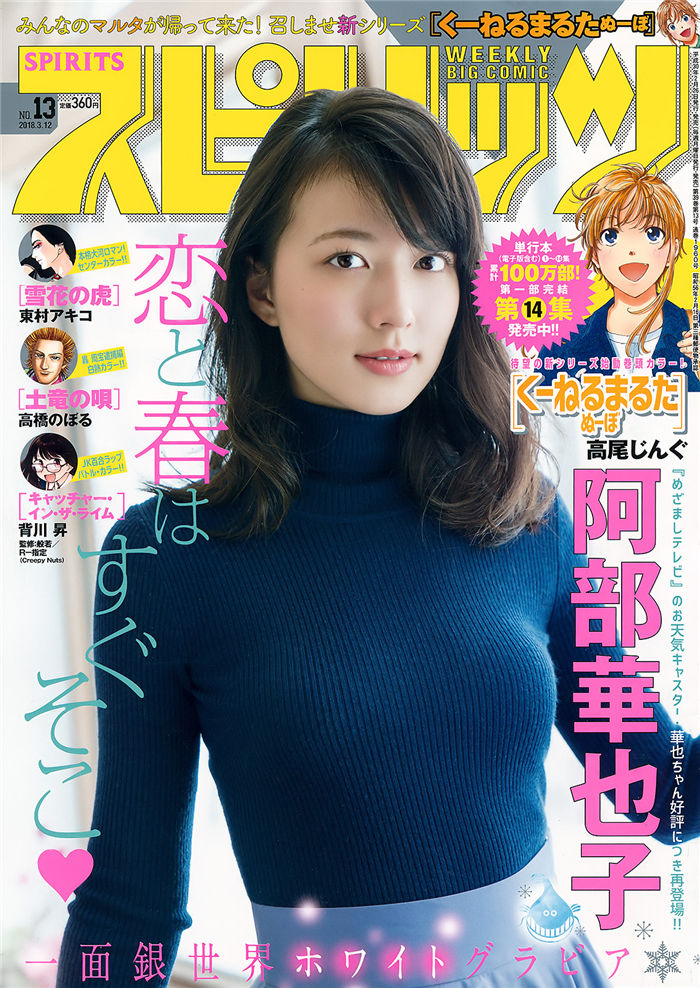 蜘蛛池对SEO黑帽技术的风险分析