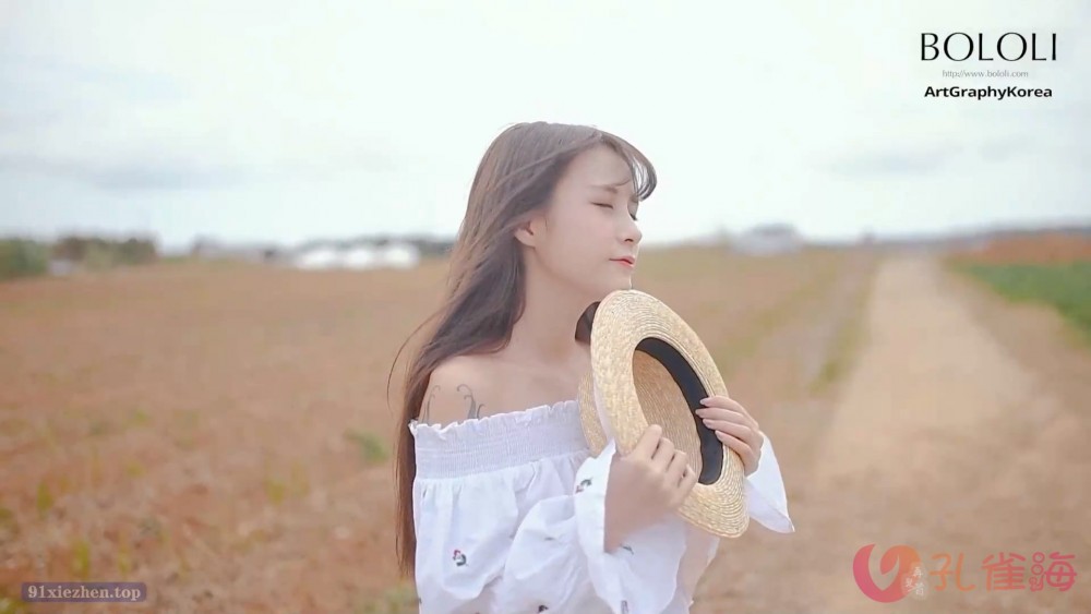 蜘蛛池和Schema结构化数据的配合