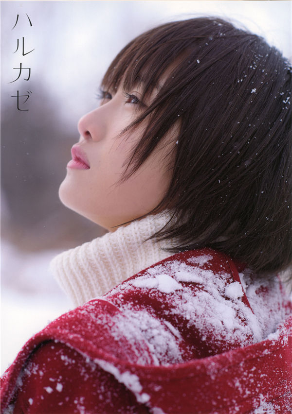 蜘蛛池能否提升收录质量？