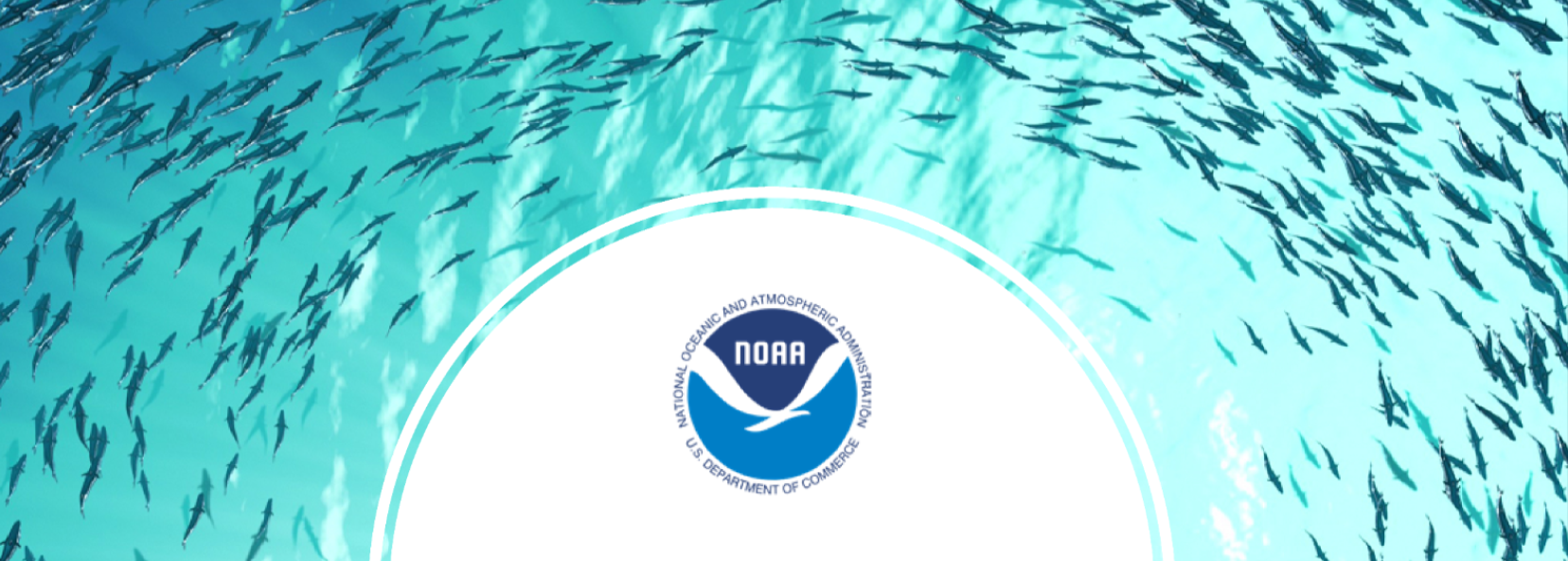 NOAA CEFI Logo