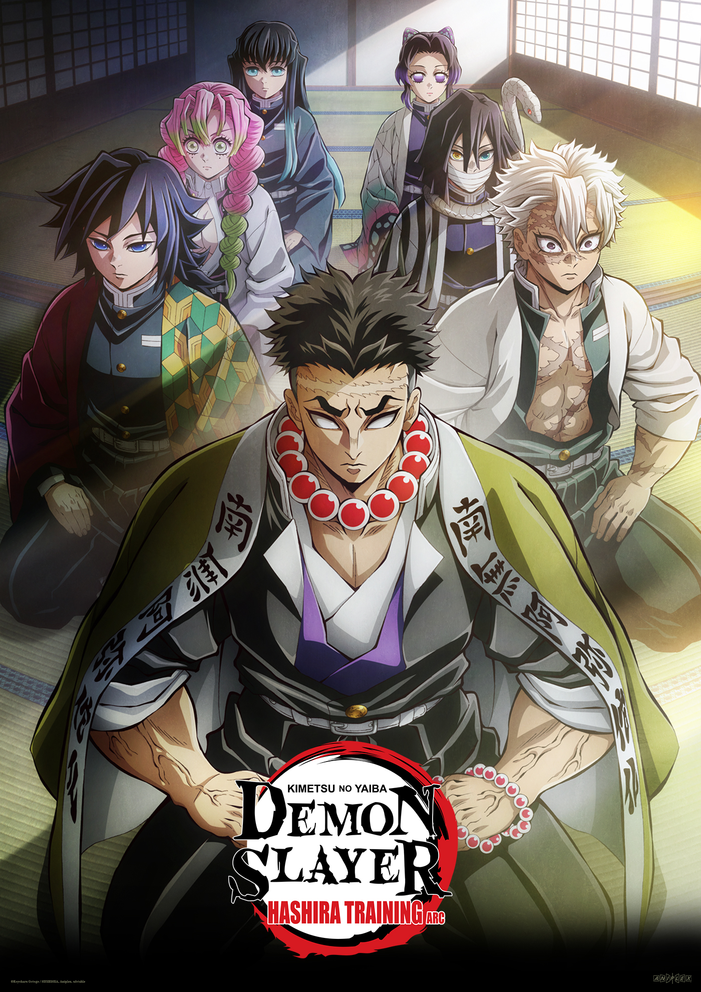 saison de Demon Slayer: Kimetsu no Yaiba
