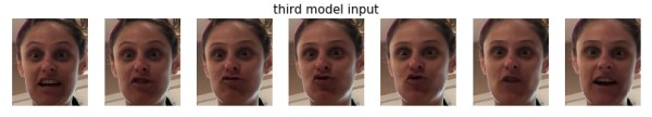 third model input