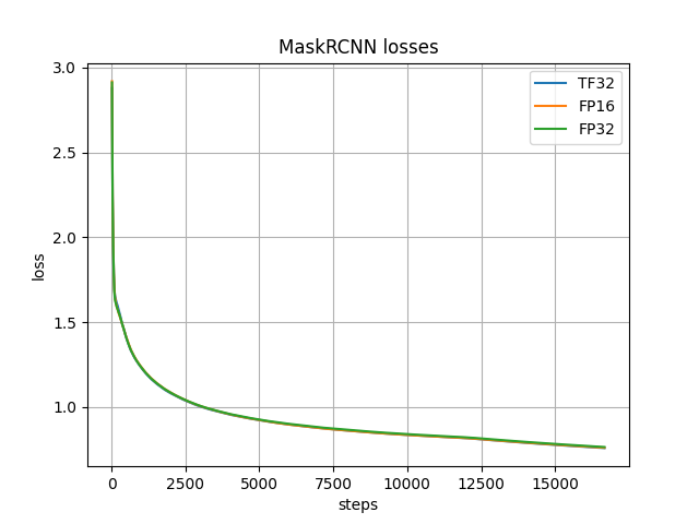 Loss Curve